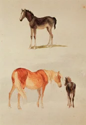Ukjent bilde